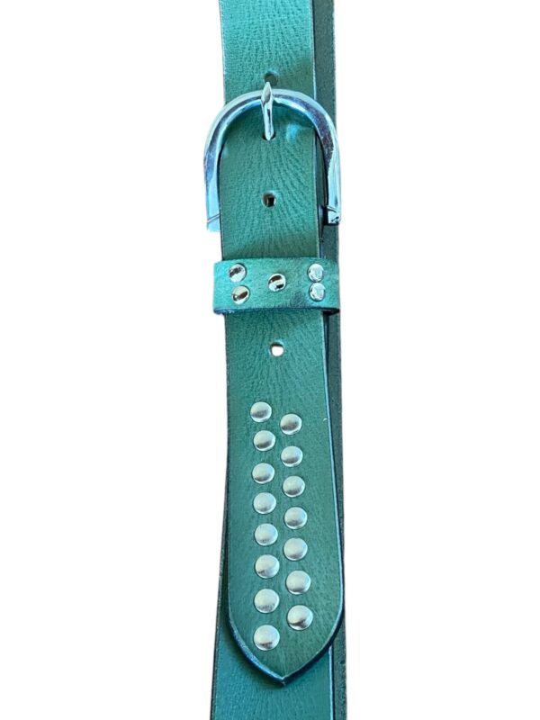 Vert cloutée – Image 2